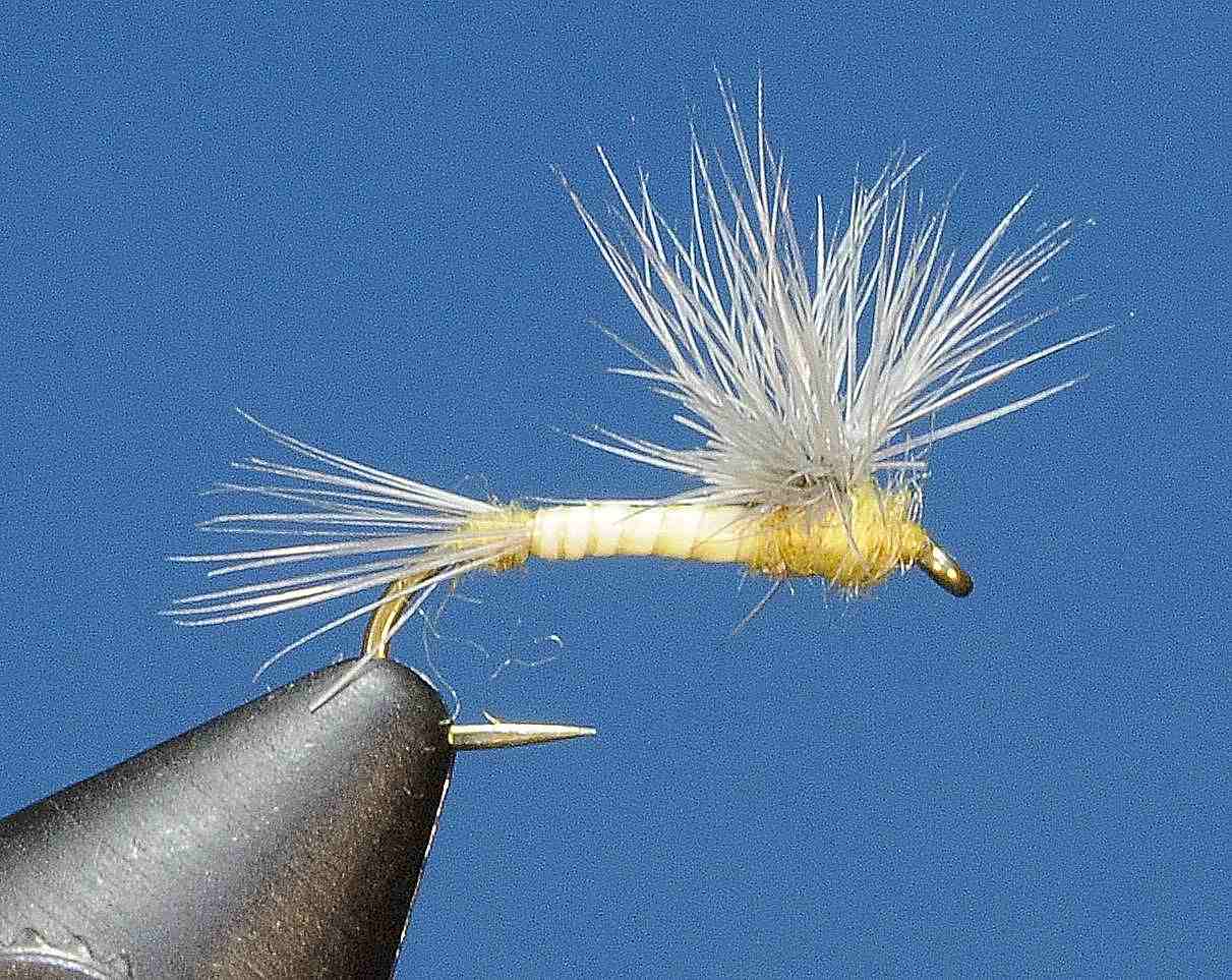 J21-02HDYL product image