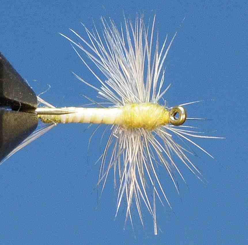 J21-02HDYL product image