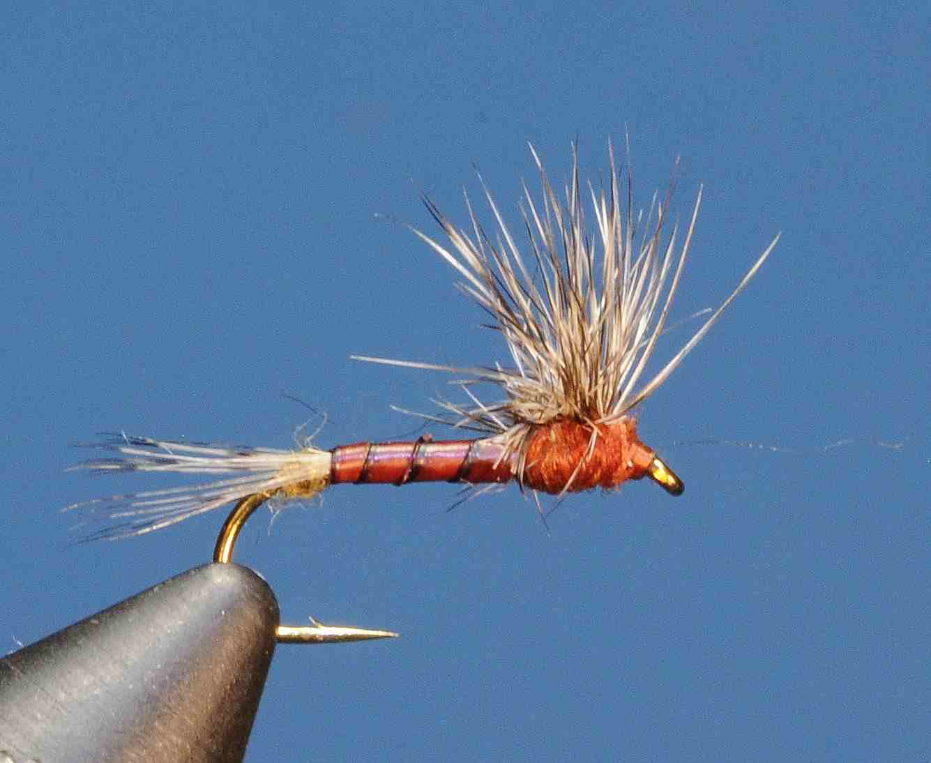 J21-02HEBR product image