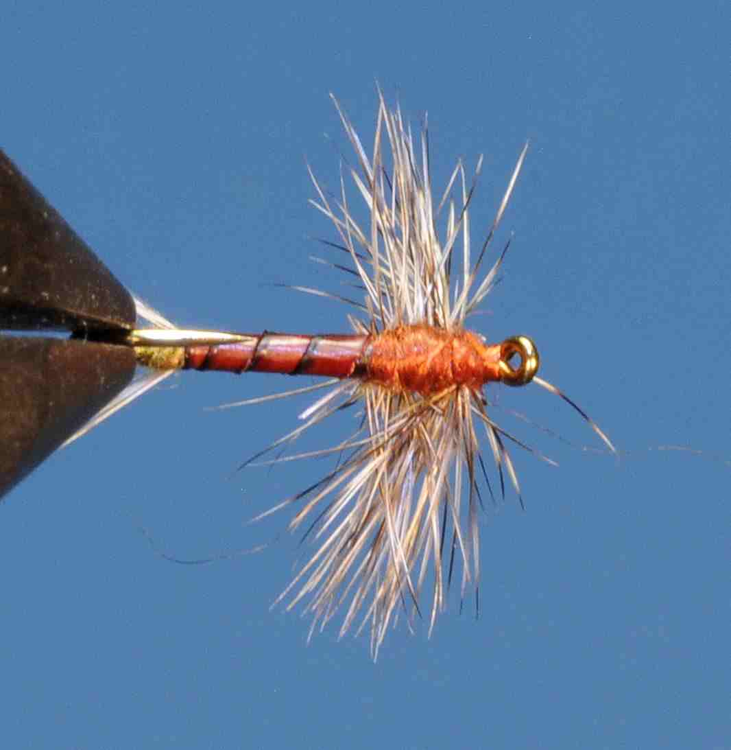 J21-02HEBR product image