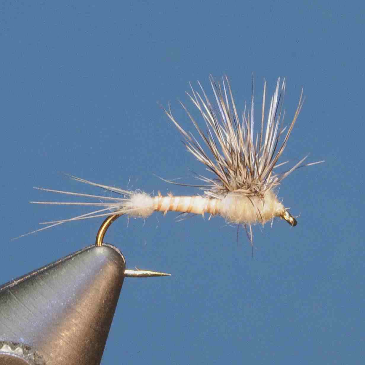 J21-02HECL product image