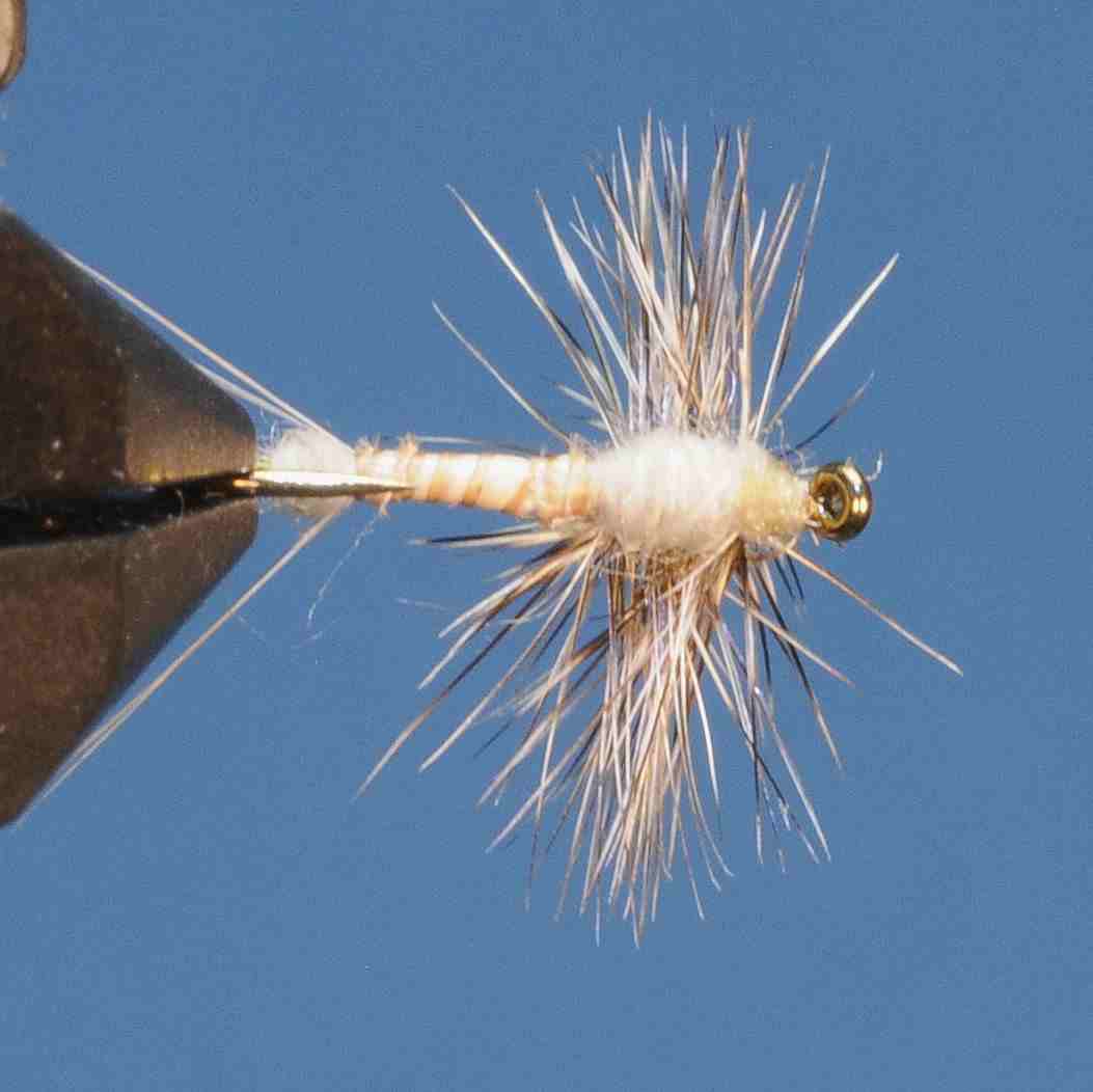 J21-02HECL product image