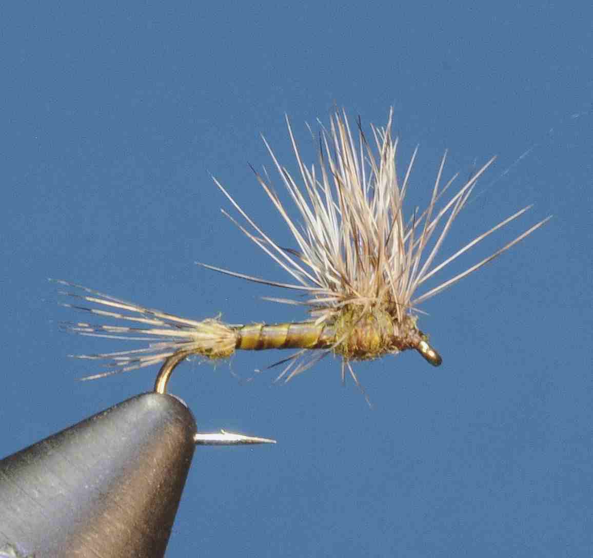 J21-02HEOV product image