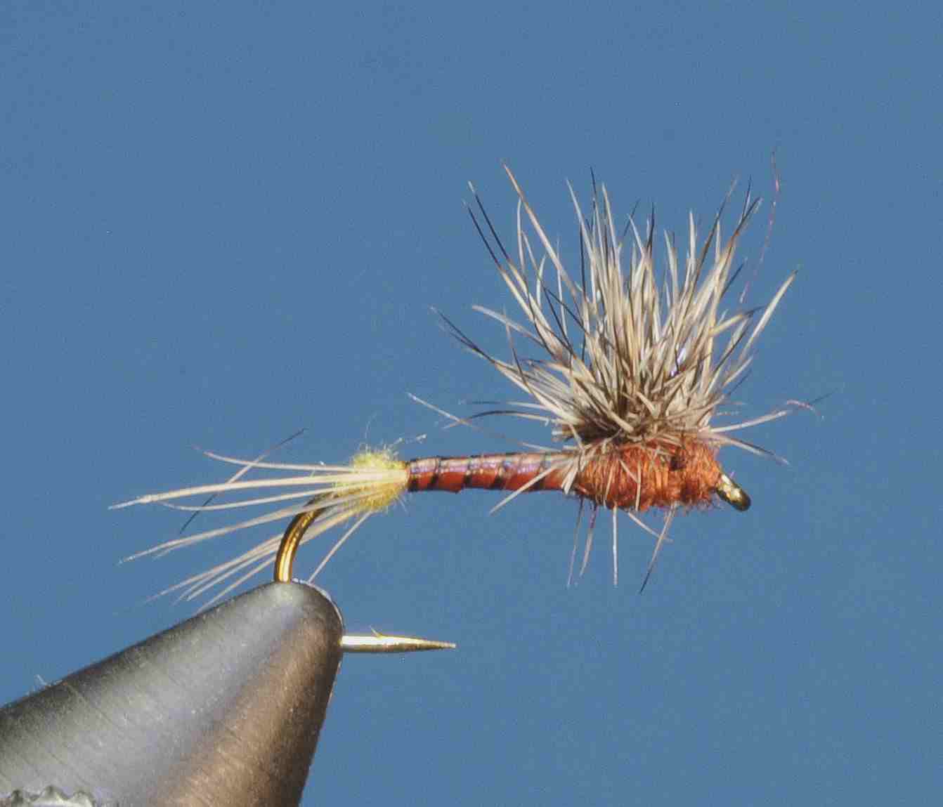 J21-02HERD product image