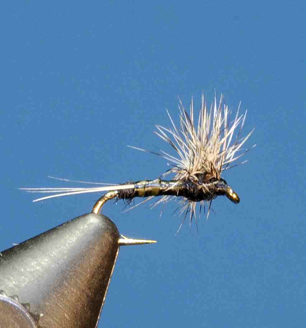 J21-02HETC product image