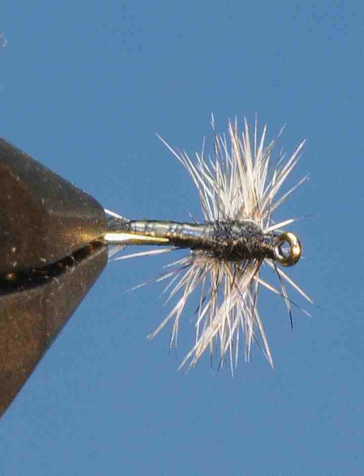 J21-02HETC product image