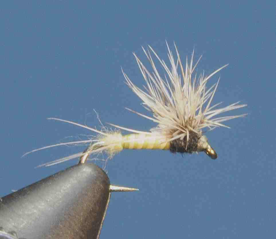 J21-02HETF product image