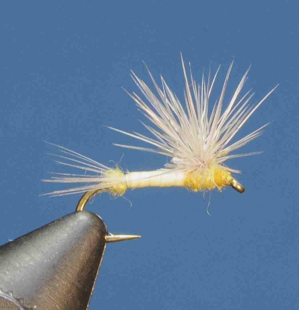 J21-02HEYL product image