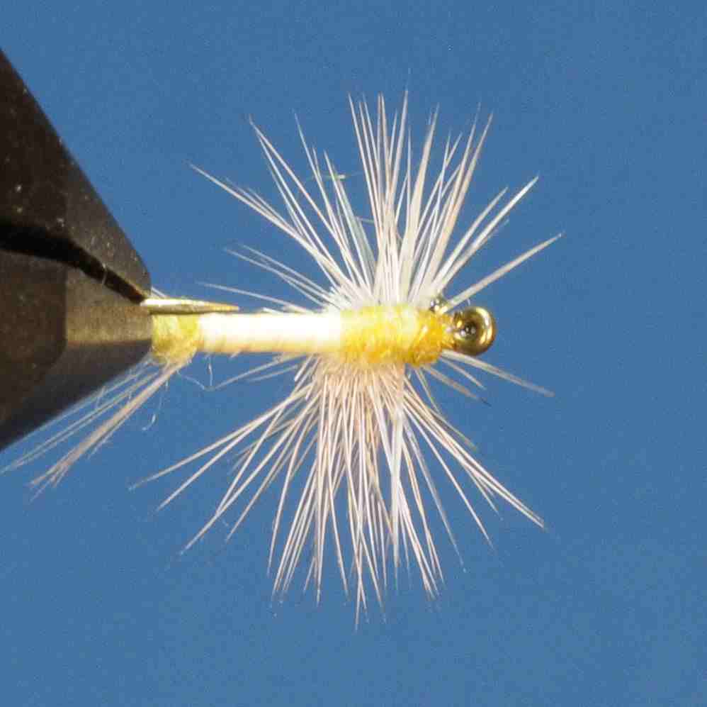 J21-02HEYL product image