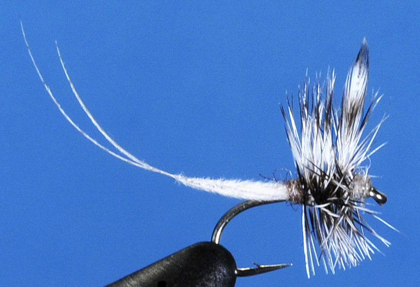 J21-02HMCA product image