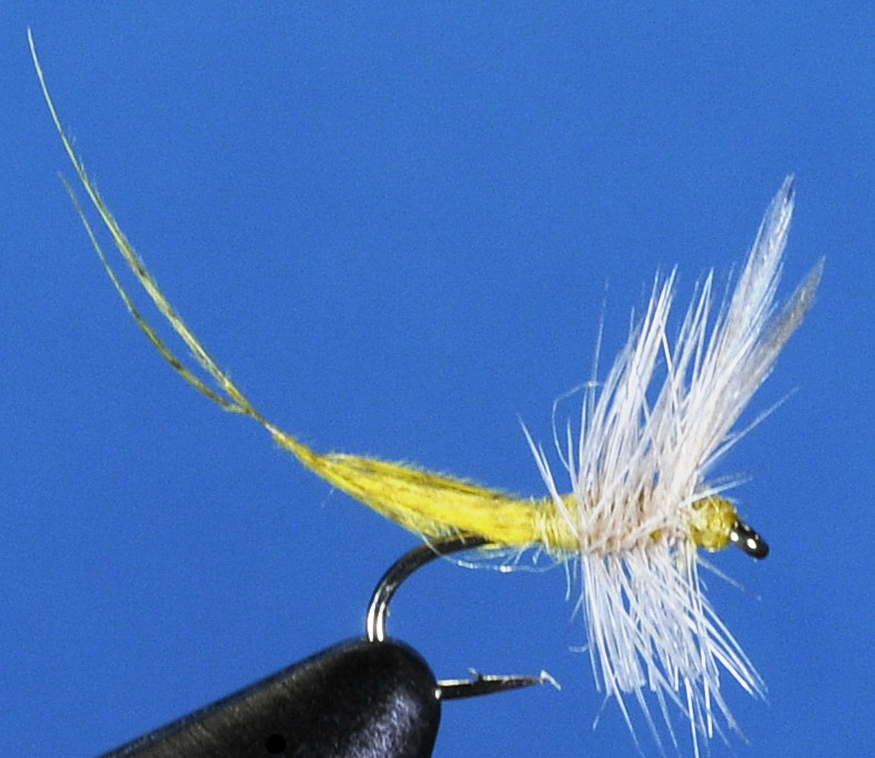 J21-02HMPM product image