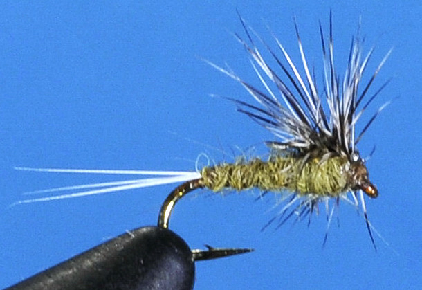 J21-02HSBW product image