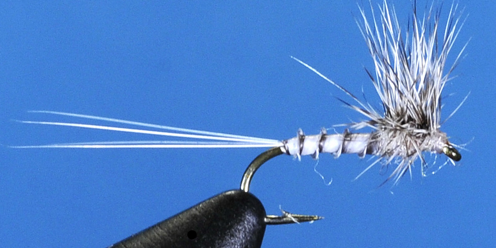 J21-02HSCA product image