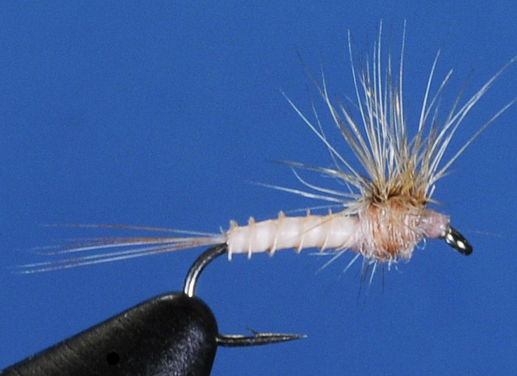 J21-02HSPK product image