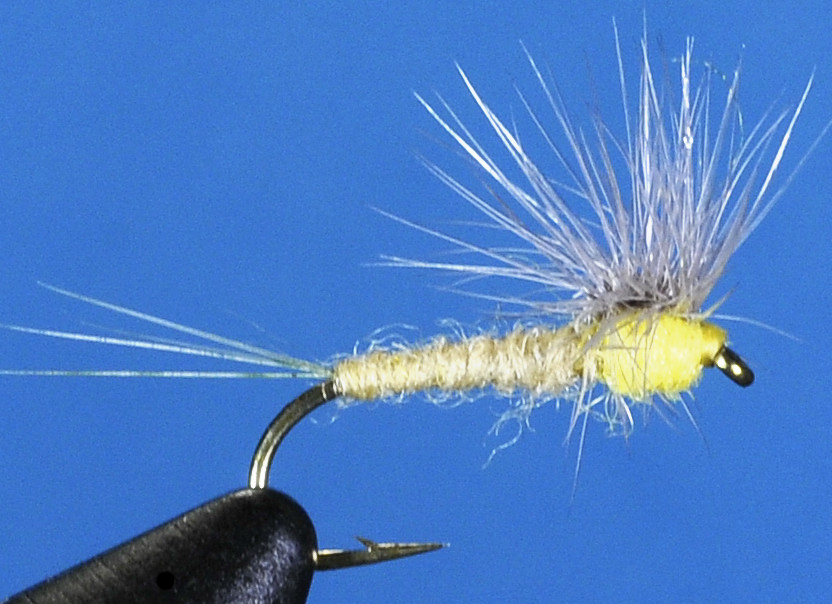 J21-02HSPM product image