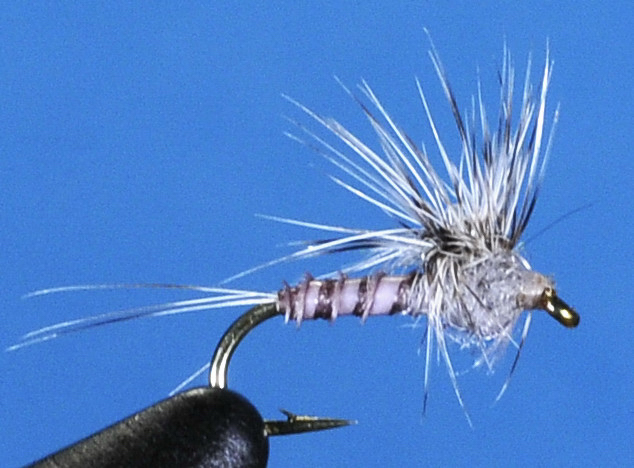 J21-02HSTF product image