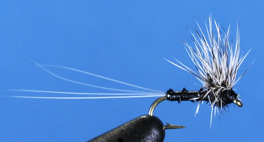 J21-02HSTR product image