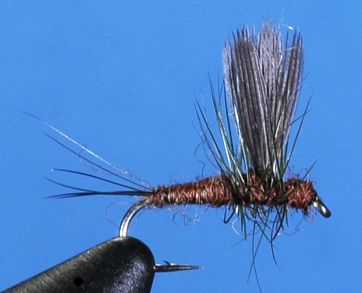 J21-02MHDN product image