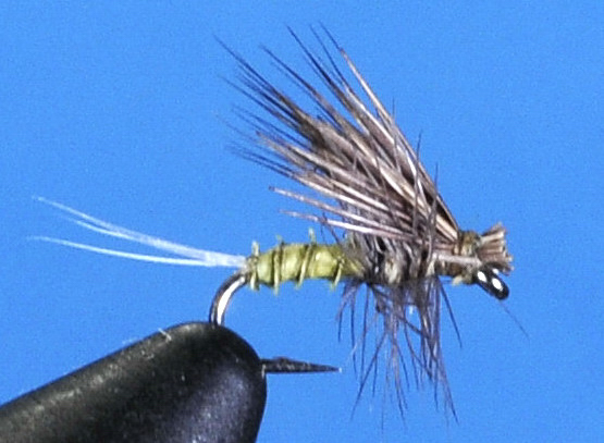 J21-02PBWO product image