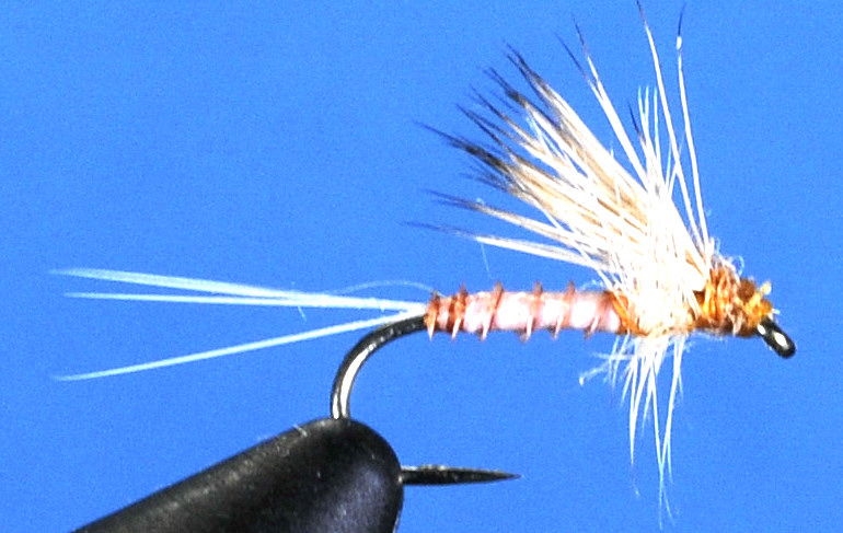 J21-02PCHP product image