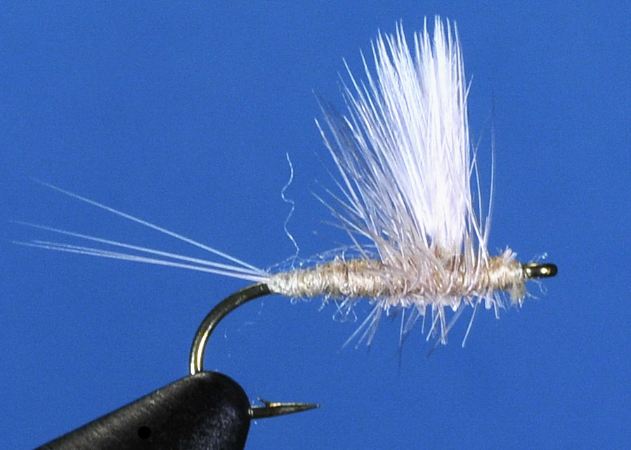 J21-02PMDN product image