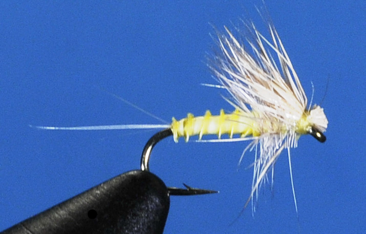 J21-02PPMD product image