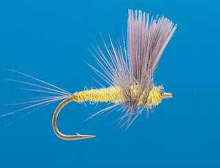 J21-02SLOL product image