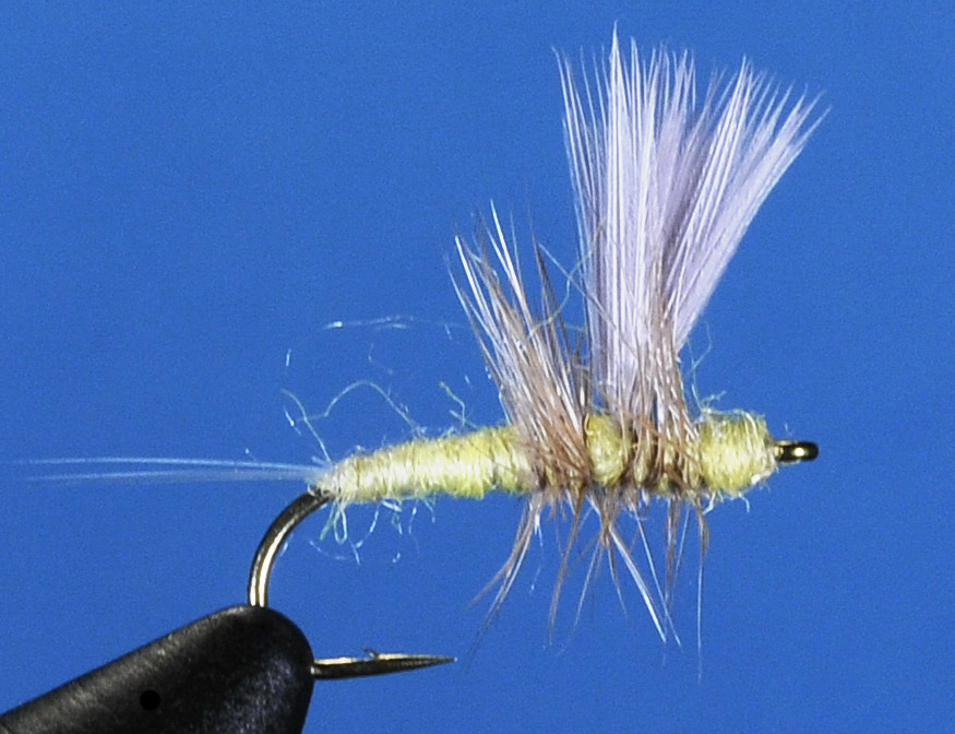 J21-02SUDN product image