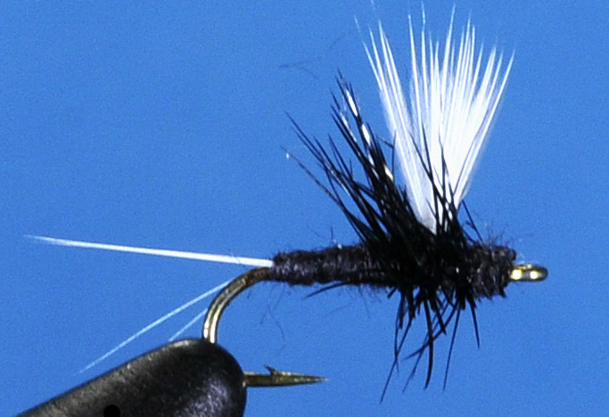 J21-02TRIC product image