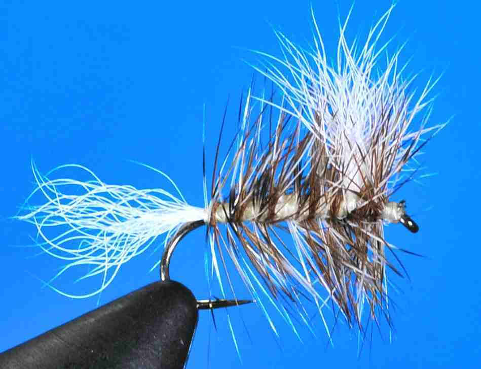 J21-03CORY product image