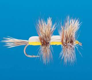 J21-03DHYL product image