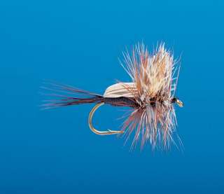 J21-03GHBK product image