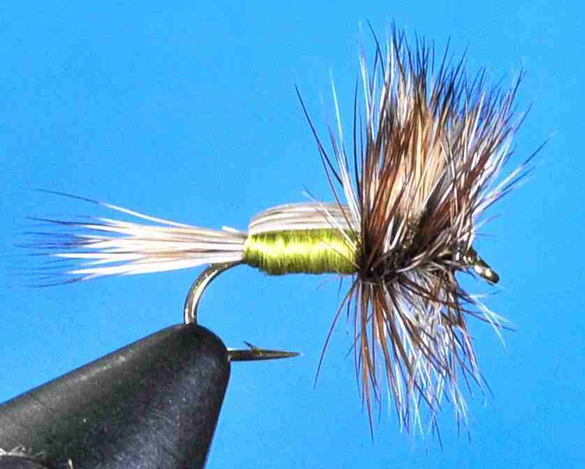 J21-03GHOL product image