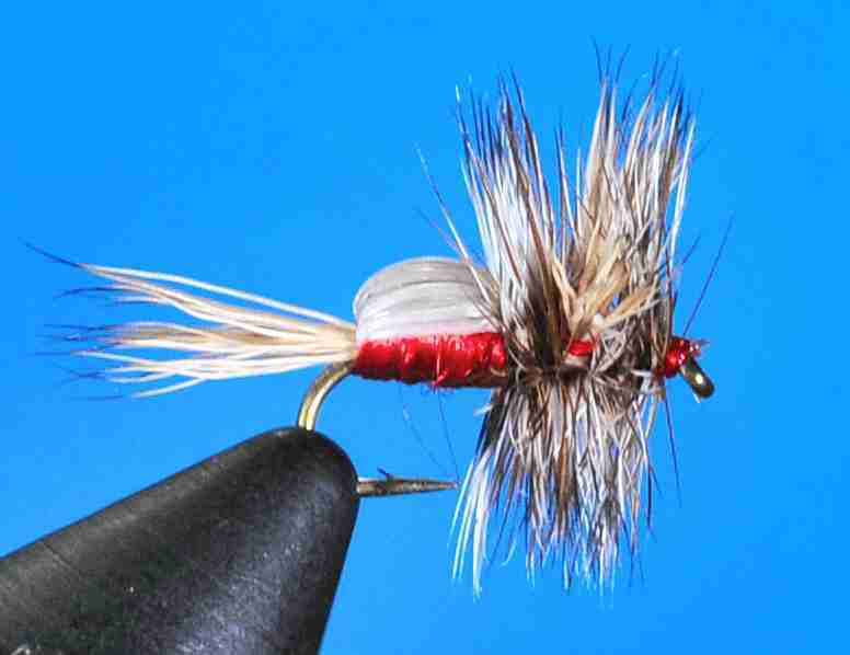 J21-03GHRD product image