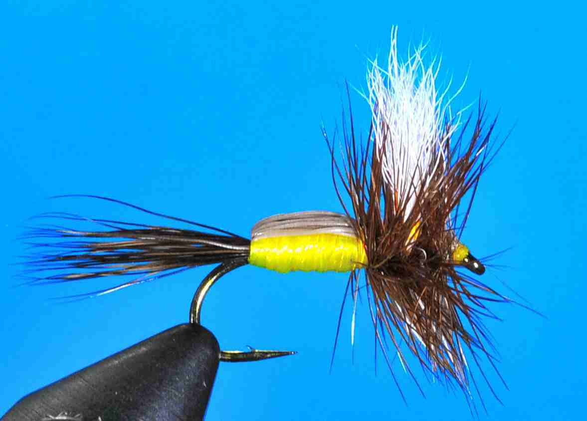 J21-03GHRY product image