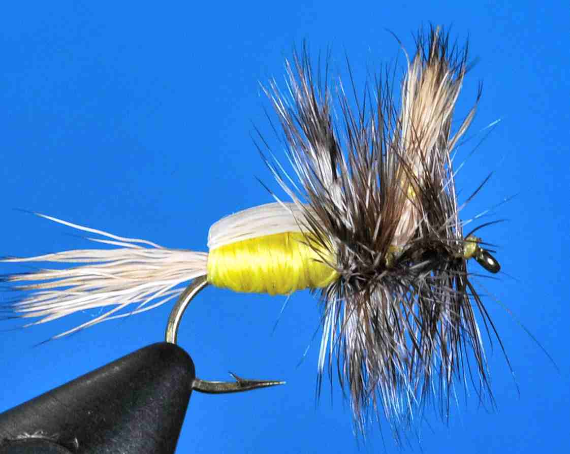 J21-03GHYL product image