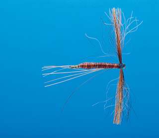 J21-03GICR product image