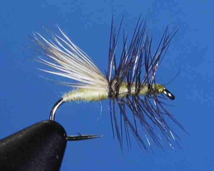 J21-03NCYS product image