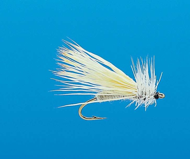 J21-03SPMO product image