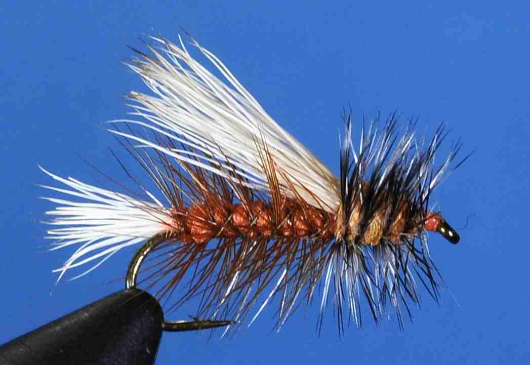 J21-03STBN product image