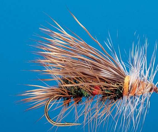 J21-03STRY product image