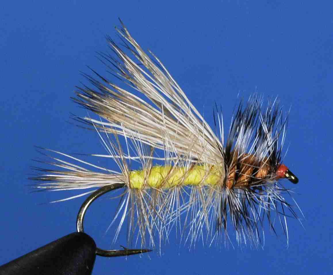 J21-03STYL product image