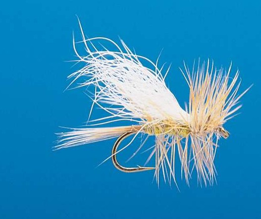 J21-03TRLG product image