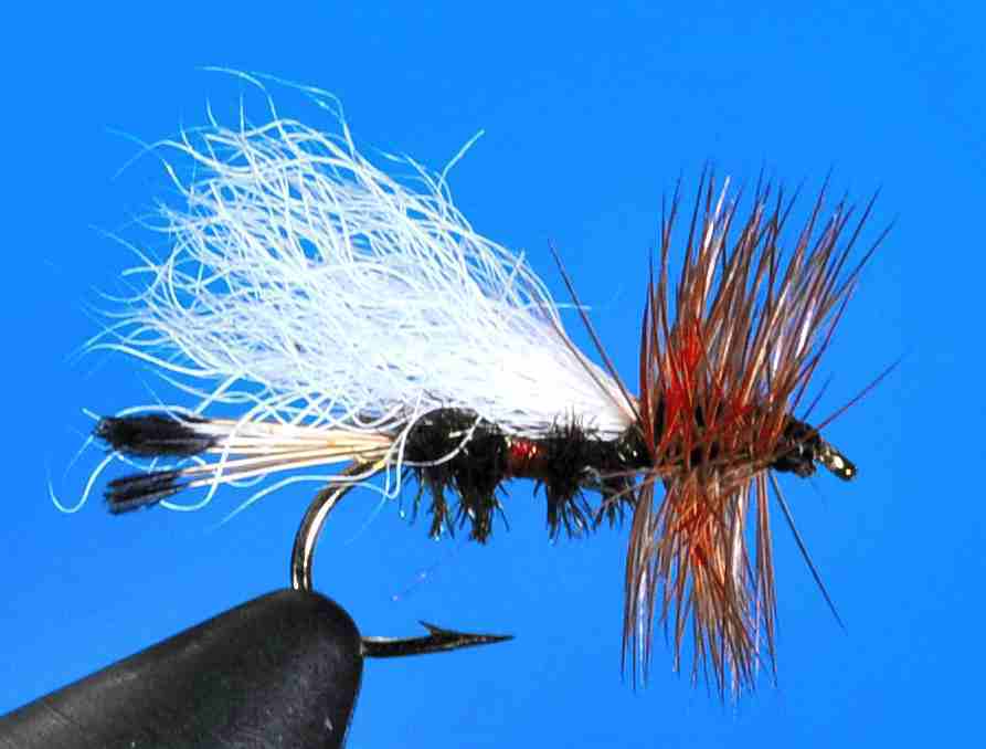 J21-03TRRC product image