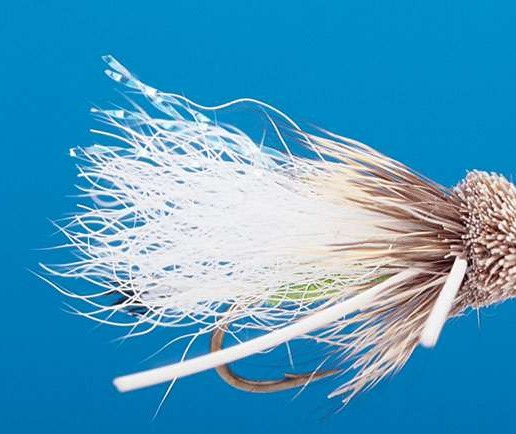 J21-03TTGR product image