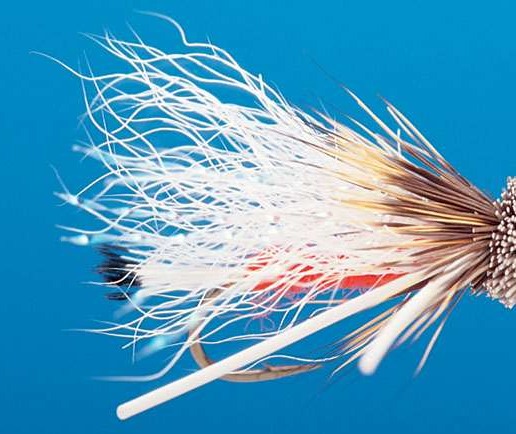 J21-03TTOR product image