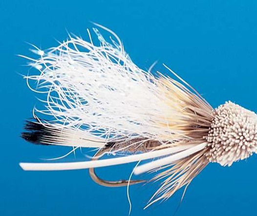 J21-03TTTN product image