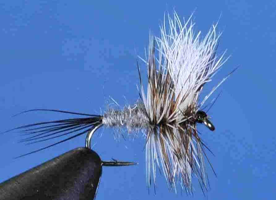 J21-04ADML product image