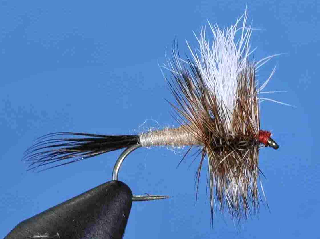 J21-04AUSA product image