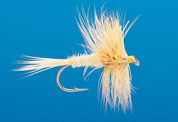 J21-04BLND product image